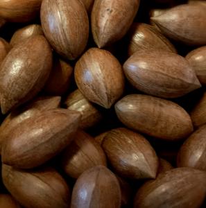 Pekanové ořechy ve skořápce