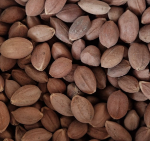 PILI ořechy ve skořápce 50g